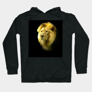 Lion portrait Hoodie